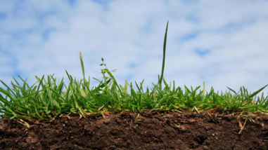 Що робити, якщо ґрунт виходить з-під ніг?