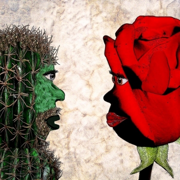 Роза і кактус. Навіщо троянді шипи, а кактусу колючки?