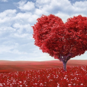 Любов чи закоханість? Або: I love/like you!